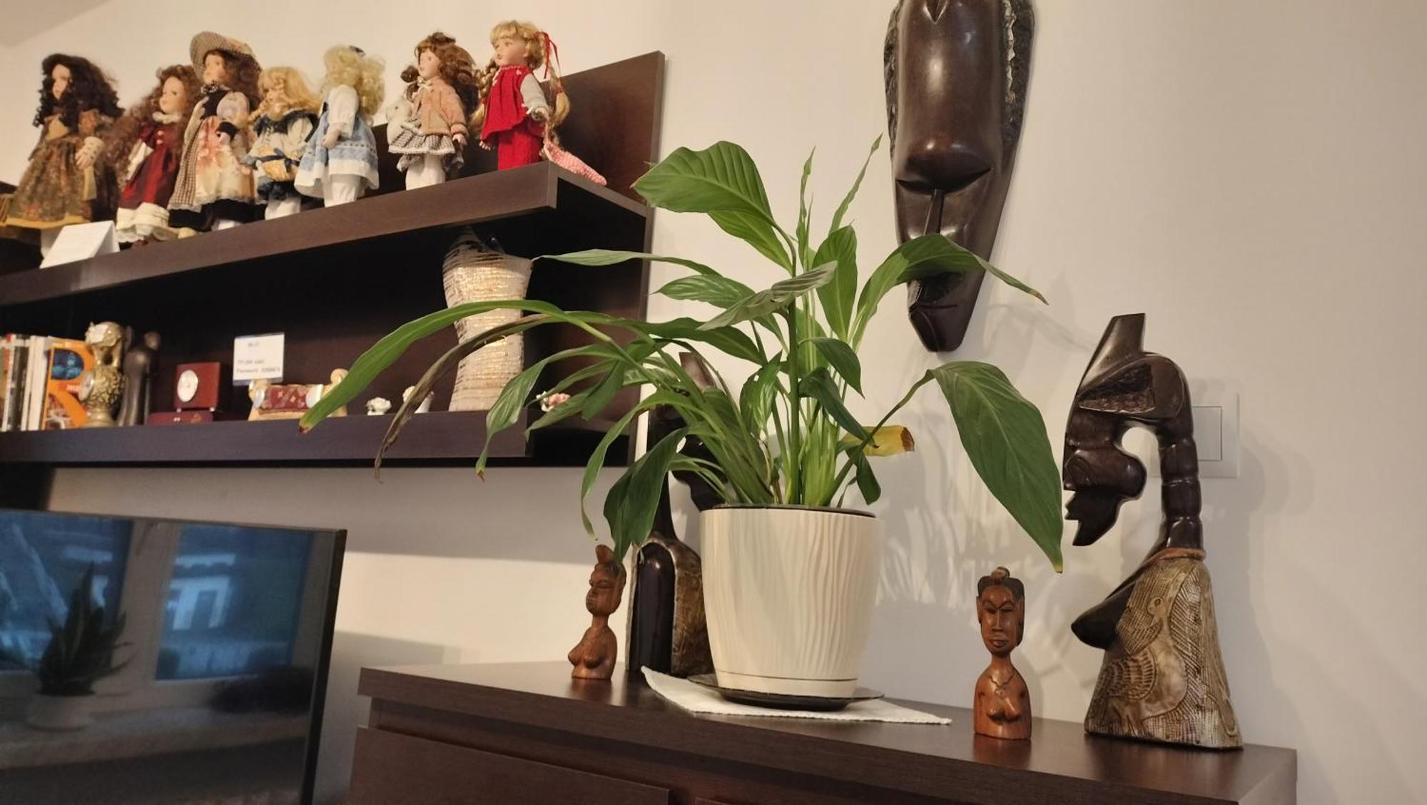 Apartament Nad Fontanna เชชูฟ ห้อง รูปภาพ